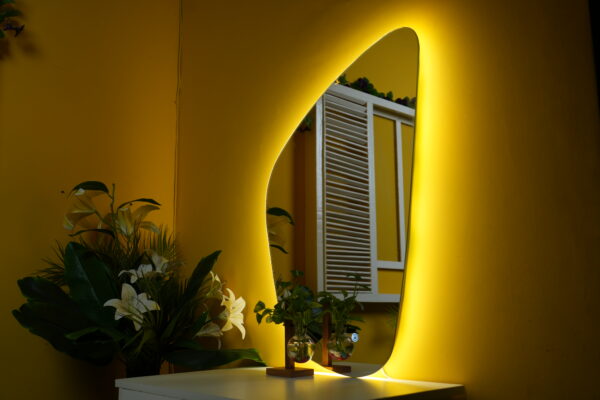 Luxury Smart LED Mirror Wall Mounted